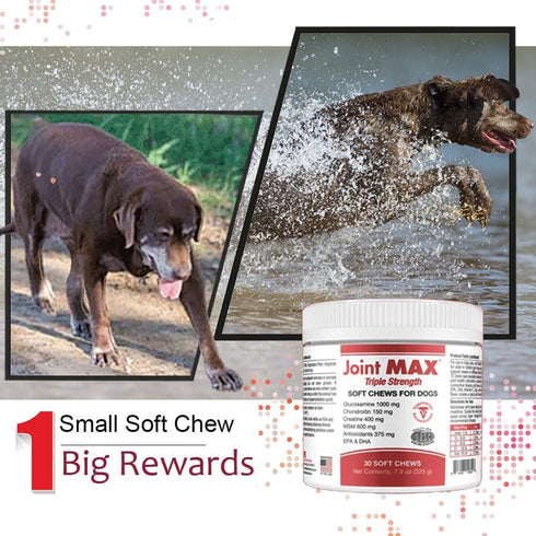 PHS Joint MAX Triple Strength Soft Chews for Dogs, 30 Chews - Glucosamine, Chondroitin, Omega 3