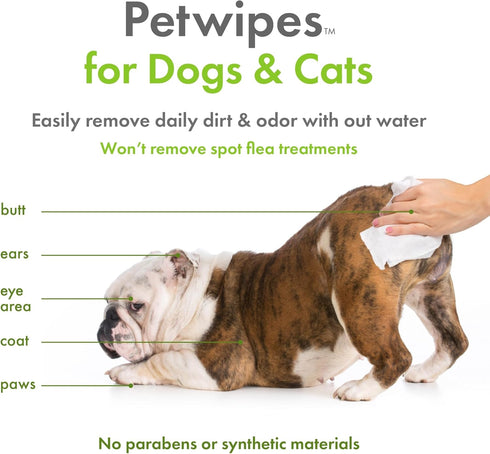 Petkin Plant-Based PetWipes - 100 Wipes, 4 Pack, Biobased, Thick Wipes for Dogs & Cats, Cleans & Conditions