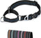 Martingale Dog Collar with Reflective Nylon, Soft Cushion and Alloy Buckle for Small, Medium, and Large Dogs (Small,