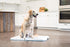 IRIS USA Pee Pad Holder, XL, Foldable Marking Dog Pad Holder with Non-Skid Rubber Feet, Fits 23"x35" Pad or Larger