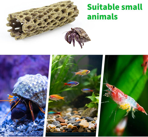 HOYAGWNG 5.7 Inch Hermit Crab Climbing Toys, Hollowed-Out Pipe, Hermit Crab Accessories, Tank Decoration for Reptile