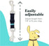 Gentle Creatures Adjustable Backup Clip for Dog Harness, Prong, Pinch Collars, Double Ended Safety Clip