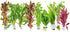 Generic Live Aquarium Plants Bundle 6 Freshwater Plants for Fish Tanks, Easy Beginner