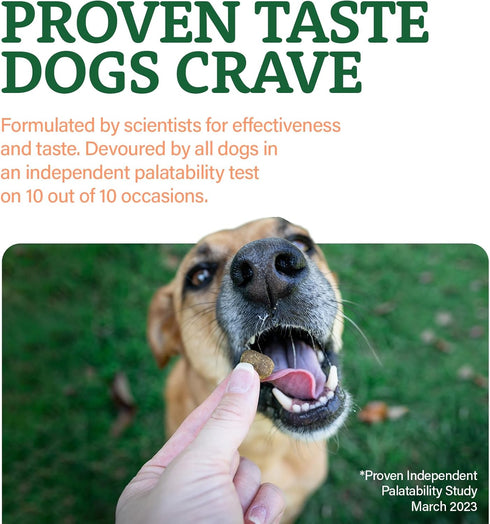 Doggie Dailies Probiotics for Dogs, Advanced Probiotics with Prebiotics, Supports Immune System and Digestive Health
