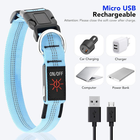 Light Up Dog Collars - Rechargeable LED Reflective Dog Collar for Night Walking - Adjustable Glow Collar (Blue, Small)