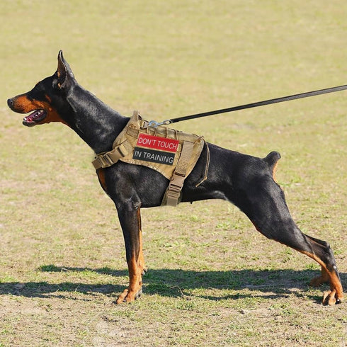 8 Pcs Service Dog Patch for Harness, Removable Velcro Patches for Dog Vest, Do Not Pet, Best Friend, Training, Support