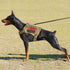 8 Pcs Service Dog Patch for Harness, Removable Velcro Patches for Dog Vest, Do Not Pet, Best Friend, Training, Support