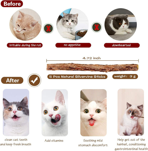 3-Piece Natural Wooden Cat Teaser Wand Toy Kit, 5 Silvervine Sticks and Elastic String Cat Pole Toy with Bell and