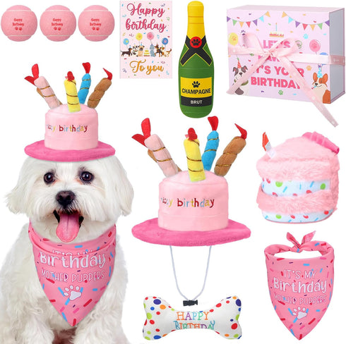 Vertintong 10 Pcs Dog Birthday Toy Set Dog Birthday Cake Bone Wine Bottle
