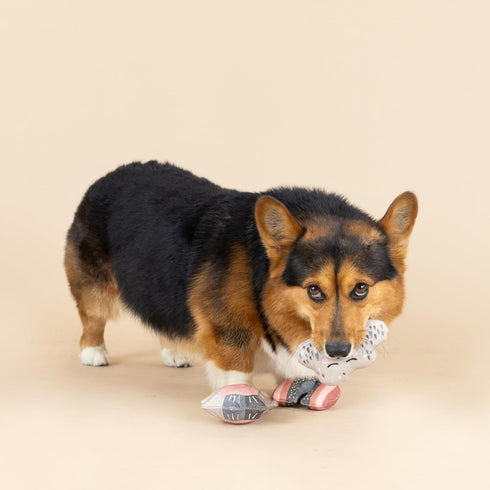 Fringe Studio Mini Canvas Dog Toy Set of 3, PetShop Collection (RAIN OR Shine)
