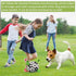 QDAN Dog Toys Soccer Ball with Straps, Interactive Tug of War Toy, Durable 6 Inch Ball for Small & Medium Dogs