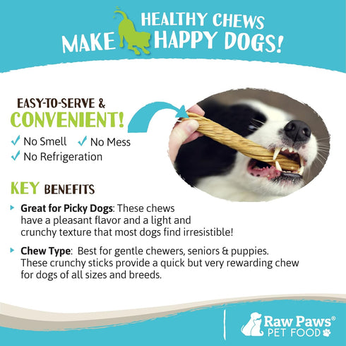 Raw Paws 5-Inch Beef Tripe Twists for Dogs - 5-Count, Odor-Free Crunchy Green Tripe Sticks Chews, Packed in USA