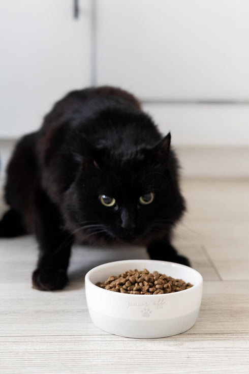 Pearhead Paws Off Ceramic Cat Bowl - Small Food and Water Bowl for Cats, Microwave & Dishwasher Safe