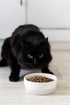 Pearhead Paws Off Ceramic Cat Bowl - Small Food and Water Bowl for Cats, Microwave & Dishwasher Safe