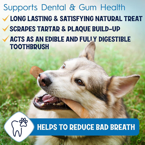12" 5 Pack Collagen Sticks for Dogs Low Odor Long-Lasting Bully Stick & Rawhide Alternative, Single Ingredient Beef