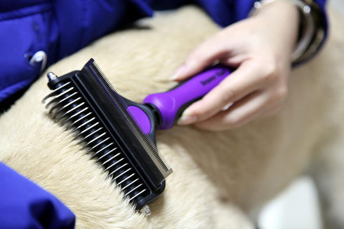 Maxpower Planet Dog Brush - 2 Sided Deshedding Brush for Pets, Dog Grooming Rake Reduces Shedding by Up to 95% Large