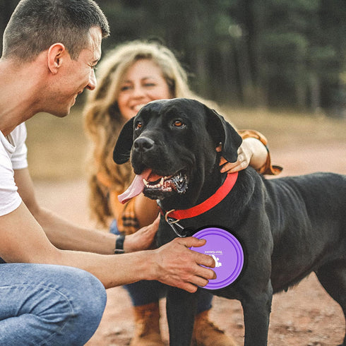 Collapsible Dog Bowls for Travel, 2-Pack Portable Water Bowl for Dogs, Foldable Feeding Dish with Carabiners