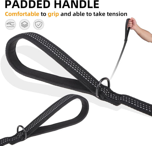 PUPTECK Reflective Dog Leash, Durable Nylon Lead with Comfortable Padded Handle for Small Medium Large Dogs, Black, M