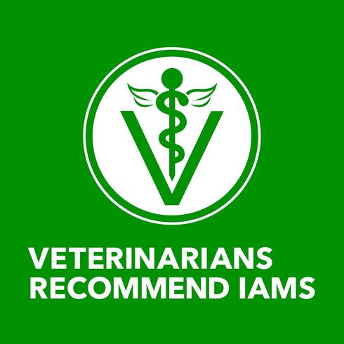 Multipack 13 oz. (Pack 12) IAMS Proactive Health Wet Dog Food, Adult Wet Dog Food Ground Dinner, Beef & Rice, Cans