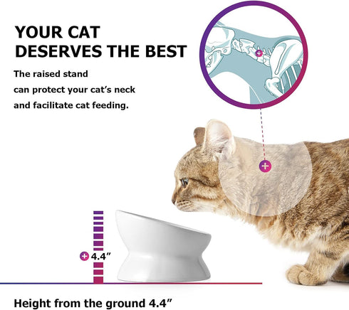 Y YHY Elevated Tilted Cat Food Bowl 6", Raised Ceramic Pet Food Water Dish 10 oz, White