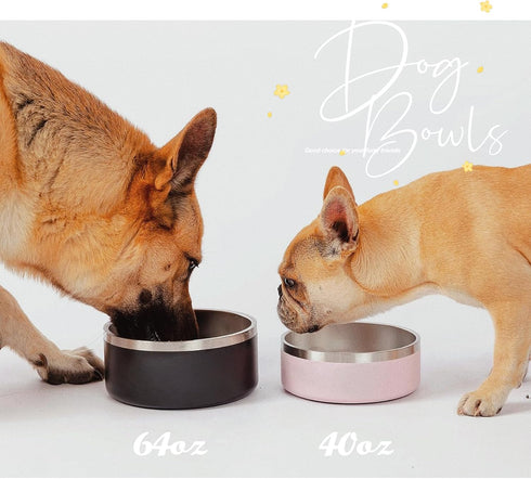Dog Bowl for Food and Water, 40 Oz Stainless Steel Pet Feeding Bowl, Heavy Duty with Rubber Bottom
