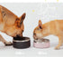 Dog Bowl for Food and Water, 40 Oz Stainless Steel Pet Feeding Bowl, Heavy Duty with Rubber Bottom