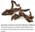 Hamiledyi Natural Coral Driftwood Decoration for Aquarium, Reptiles, Bendable Jungle Climbing Vines, Bearded Dragon,