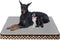 Magic Dog Orthopedic Bed for Extra Large Dogs, Super Soft 2-layer High Density Foam, Non Slip Bottom Mattress with
