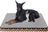 Magic Dog Orthopedic Bed for Extra Large Dogs, Super Soft 2-layer High Density Foam, Non Slip Bottom Mattress with