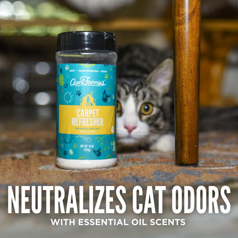Aunt Fannie's Cat Carpet Refresher, Odor Neutralizing Powder for Homes with Cats, Kittens and Other Pets, Bright Lemon Scent, 16 Ounce (Pack of 1)