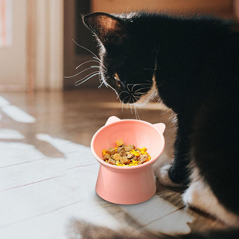 Tilted Elevated Cat Food Bowl - Cat Bowls Whisker Friendly Anti Vomiting Slanted Cat Feeding Bowls Cute Shallow Cat Bowl (Tall Cat Bowl-Pink)