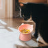 Tilted Elevated Cat Food Bowl - Cat Bowls Whisker Friendly Anti Vomiting Slanted Cat Feeding Bowls Cute Shallow Cat Bowl (Tall Cat Bowl-Pink)