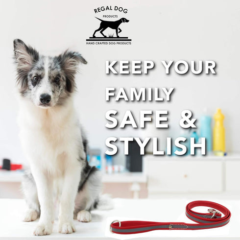 Regal Dog Products Reflective Leash – 5 ft. Lightweight Dog Leash for Small, Medium, Large, or XL Dogs (Red)