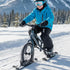 Generic Stroller Skis - Lightweight Easy Installation Scooter Sled, Winter Outdoor Downhill Flat Sandy, Kid Boys Girls