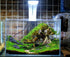 10 Azil Aquascape Bonsai Driftwood Tree Premium Natural Aquarium Decor for Fish Tanks, Freshwater Aquariums, Hardscape