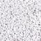 5lb Polished River Rocks, Decorative Pebbles for Fish Tank, Garden, and Home Decor, Snow White