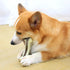 Dog Bones for Aggressive Chewers, 2 Pack Real Beef Flavor Teething Toys for Medium/Small Breeds, Durable Nylon Chew Toys