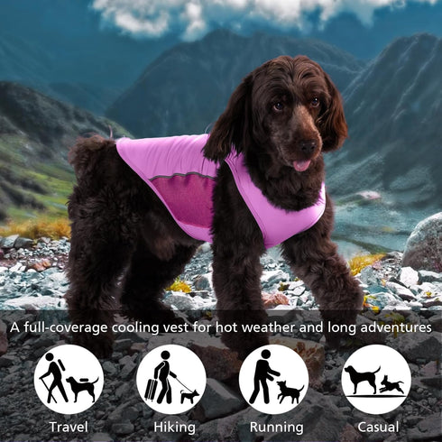 2 Pack UPF 50+ Sun Protection Dog Shirt, Lightweight Sports Fan T-Shirts for Small Dogs, Reflective Strip