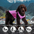 2 Pack UPF 50+ Sun Protection Dog Shirt, Lightweight Sports Fan T-Shirts for Small Dogs, Reflective Strip