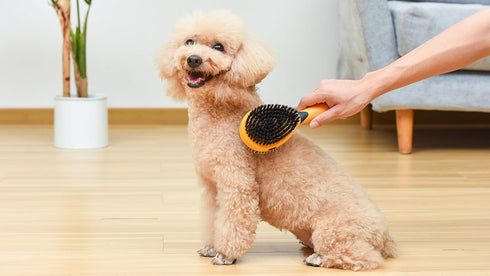 Wags & Wiggles Double Sided Dog Brush - Efficient Grooming for Long or Short Haired Dogs & Cats, Shedding Brush &