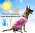 2 Pack UPF 50+ Sun Protection Dog Shirt, Lightweight Sports Fan T-Shirts for Small Dogs, Reflective Strip