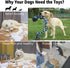 Dog Rope Toys for Large Dogs - Heavy Duty Indestructible Chew Toy, 3 Feet 5 Knots for Tug of War and Teeth Cleaning