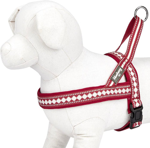 Blueberry Pet 4 Colors Soft & Comfy 3M Reflective Jacquard Padded Dog Harness, Chest Girth 16.5" - 21", Marsala Red
