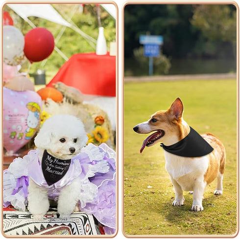 Wedding Dog Bandanas, My Humans are Getting Married, Dog Engagement Wedding Party Photo Prop Bandana, Small