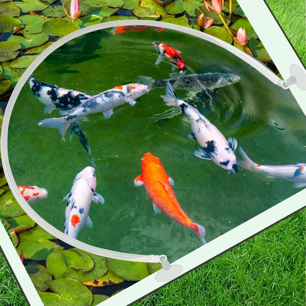 2 Pcs Aquarium Floating Plant Corral, Fence for Aquarium Accessories, Auto-Adjusts Height with Water Level