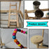 Parrots Playground, Bird Play Gym Wood Perch Stand Colours Revolving Climb Ladders Swing Chewing Toys with Parakeet