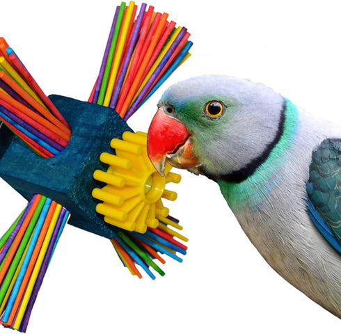 Super Bird Creations SB963 Twirl N' Whirl Bird Toy - Handcrafted Wooden