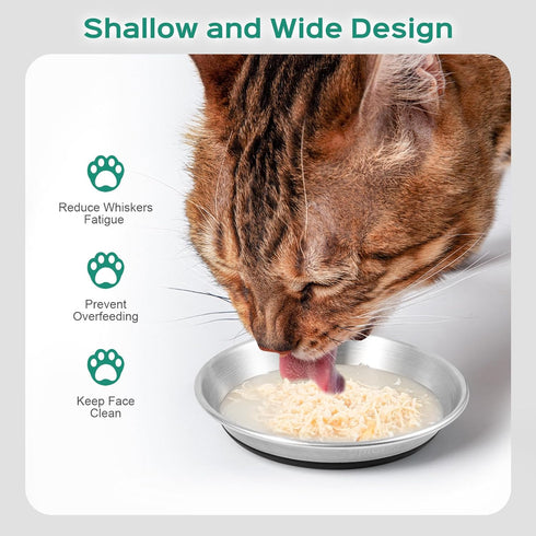 Basic Cat Bowls, Dog Food Bowls, 304 Stainless Steel Dishes, Non-Slip Silicone Base, Heavy Duty, 2 Pack