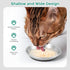 Basic Cat Bowls, Dog Food Bowls, 304 Stainless Steel Dishes, Non-Slip Silicone Base, Heavy Duty, 2 Pack