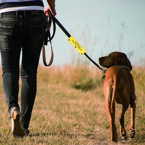 Funny Dog Leash Sleeve, Training Please Don't Approach Dog Leash Wrap Alert Hanging ID Patch Tag